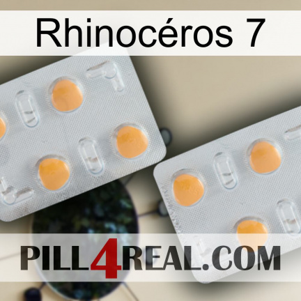 Rhinocéros 7 25